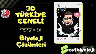 3D Yayınları Türkiye Geneli TYT 3 Deneme Çözümleri [upl. by Lilah]