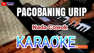 PACOBANING URIP  Karaoke Dangdut Koplo Nada Pria [upl. by Narual]