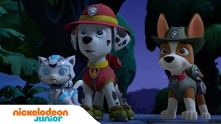 PAW Patrol  La Pat Patrouille  Les meilleures aventures avec les Supers chats   Nickelodeon Jr [upl. by Twitt]