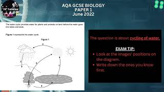 quotPowerful Revision AQA Biology Paper 1 Revealedquot Higher Tier Jun22 [upl. by Emmett]