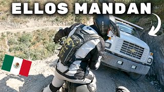 ❌️ CUIDADO QUE TE LOS PODES ENCONTRAR 🇲🇽  Cap 175  USHUAIA a ALASKA en MOTO [upl. by Gipson90]