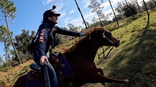 How to Use GoProEquestrian Edition [upl. by Ainiger422]