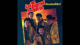 Orgullo Maldito  Los Tigres Del Norte [upl. by Nylicaj]