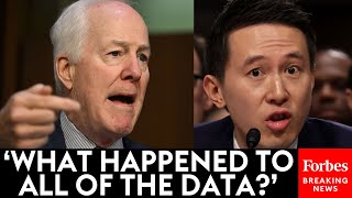 MUST WATCH TikTok CEO Grilled By John Cornyn About US Citizens Data [upl. by Conney]