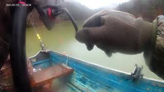 Stocked Trout fishing Berwind lake [upl. by Suzy]