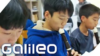 Waldorfschule International Wie das Konzept in Südkorea ankommt  Galileo  ProSieben [upl. by Wixted]