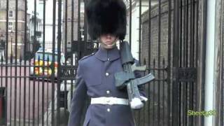 Clarence House Guards [upl. by Nnaasil]