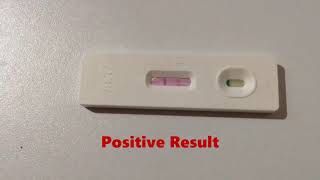 Pregnancy Test Positive Result [upl. by Asit241]