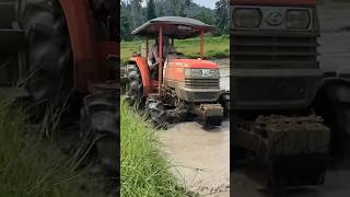 Kubota l4508 4 wheel tractor working in mud 😲😲😲 [upl. by Hemingway]