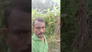 Thande kodiso seere kannada song Dr Raaja kumaare [upl. by Josefina]