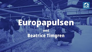 Europapulsen 2  EU sätter käppar i hjulen för svenska företag [upl. by Nador]