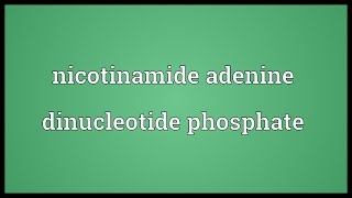 Nicotinamide adenine dinucleotide phosphate Meaning [upl. by Archer]