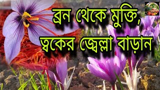 জাফরান শুধুই কি মশালাSaffron  Jaffran Benefits facts foodshorts [upl. by Forest]