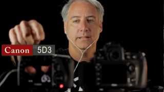 Nikon D800 vs Canon 5D Mark III Which Has The Quietest Preamp [upl. by Debo515]