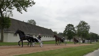 2016 France Day 3 Grosbois Training Center [upl. by Nuris]