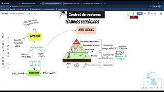 Términos ecológicos Control de vectores SEM1 5to Salud Ambiental [upl. by Rysler886]