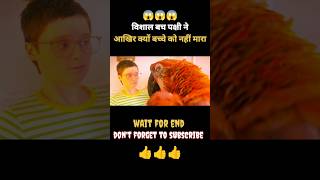 bishal bach pakshi ne bacche ko nahi mara😱new movie explained in hindi 2024 short movie [upl. by Orren266]