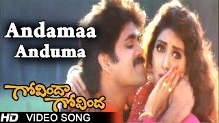 Govinda Govinda Movie  Andamaa Anduma Video Song  Nagarjuna  Sridevi  shalimarcinema [upl. by Sandeep]