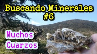 Buscando Minerales 6  Encuentro veta de Cuarzo y hay montones de Cristales ⛏💎 [upl. by Mcmullan]