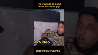 Man eater tiger attack camp camping campingvideos tigerattack wildcamping [upl. by Maclay]