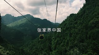 Zhangjiajie CHINA Avatar Mountains Baofeng lake Golden Whip Stream [upl. by Glori]