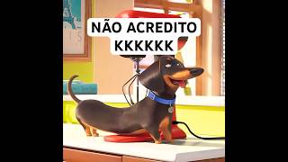 O Cachorrinho Dengoso  Pets [upl. by Moffat73]