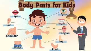 Body Parts For Kids Learn Parts Of The Body for Kids Body Parts Quiz Parts Of Body With Spellings [upl. by Ynnavoig250]