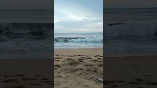 Waves never cease beach vibes seaside video sunset view goodvibes hangout [upl. by Jar441]