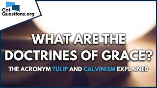 What are the doctrines of Grace  The acronym TULIP and Calvinism explained  GotQuestionsorg [upl. by Philpot565]