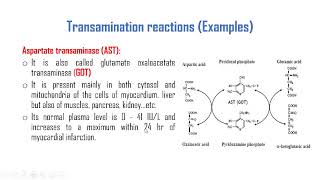 Transamination Deamination Transdeamination Urea cycle Hyperammonemia Ammonia intoxication [upl. by Stoller649]