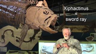 9 Xiphactinus The Monster Fish [upl. by Kennan598]