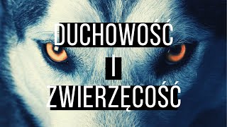 Duchowość i zwierzęcość Podcast [upl. by Llerryt751]