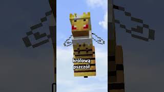 KRÓLOWA PSZCZÓŁ w MINECRAFT DATAPACK shorts [upl. by Saixela655]