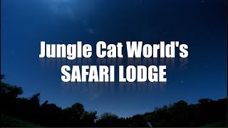 SAFARI LODGE Bed amp Breakfast [upl. by Enoed138]