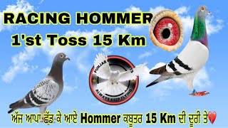 RACING HOMMER 1’st Toss 15 Km  ਅੱਜ ਆਪਾ ਛੱਡ ਕੇ ਆਏ Hommer ਕਬੂਤਰ 15 Km ਦੀ ਦੂਰੀ ਤੇ💔 [upl. by Nerrat]