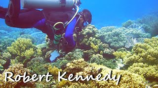 Scuba Dive from Shore at Basak Negros Island Philippines [upl. by Virgil]