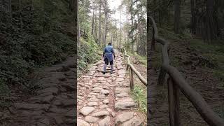 Wandern im Naturpark SchlernRosengarten Atemberaubende Landschaften amp Abenteuer südtirol [upl. by Wait717]