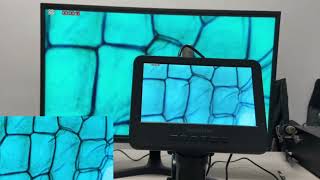 Andonstar  2024 AD266S 5000X 2160P HDMI Biological Microscope Review andonstar aliexpress [upl. by Dagmar]