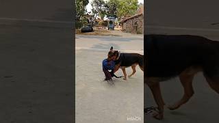 booster kya hai vlog viral india dogshortsfeed ternding [upl. by Neerom403]