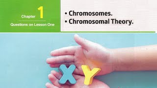 Sec 1\ Biology 2nd term\ Unit 3\ Chapter 1\ Lesson 1  Chromosomes  Chromosomal theory  Exercises [upl. by Elohcin856]