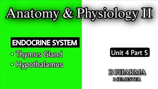 THYMUS  HYPOTHALAMUS  ANATOMY amp PHYSIOLOGY  ENDOCRINE SYSTEM  U4  P5  HAP2  B PHARMA [upl. by Niwle]