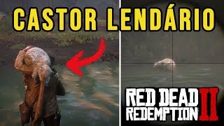 RED DEAD REDEMPTION 2 – CASTOR LENDÁRIO LOCALIZAÇÃO E CAÇA  ANIMAIS LENDÁRIOS RDR2 PTBR [upl. by Eimak]