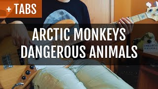 Arctic Monkeys  Dangerous Animals Bass Cover with TABS [upl. by Laubin]