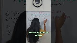 Protein digestion biochemistrylifesciencecsirnetmustwatchmostimportantyoutube shortsjrficmr [upl. by Witty]