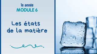 1e année  Module 6  Les états de la matière [upl. by Pul]