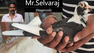 MrSelvaraj Nagercoil Part  1 [upl. by Esilanna328]