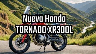 Nueva Honda TORNADO XR300L ¿Porque TAN CARA🔥 [upl. by Ignatius]