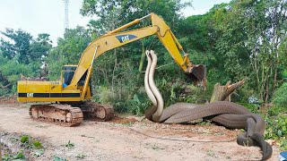 Testing the Limits of a JCB Backhoe Loader [upl. by Hegarty]