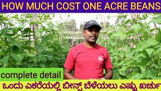 How much does it cost to grow beans ಬೀನ್ಸ್ ಬೆಳೆಯಲು ಎಷ್ಟು ಖರ್ಚಾಗುತ್ತದೆ ಇದರ ಬಗ್ಗೆ ಮಾಹಿತಿ [upl. by Rosmunda]