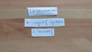 La déclinaison de ladjectif épithète à laccusatif en allemand [upl. by Akenahc]